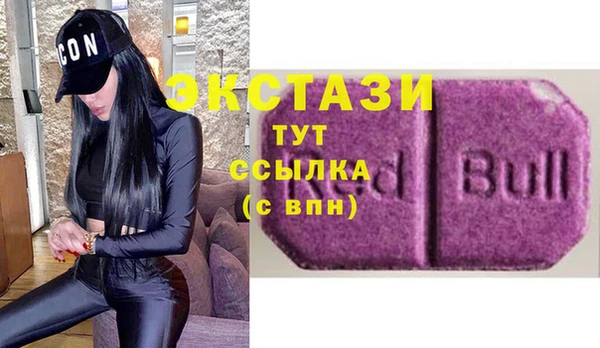 ECSTASY Богданович