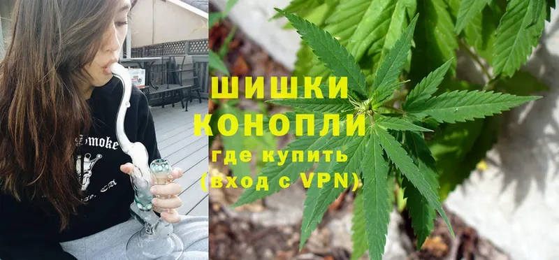 где найти   Нахабино  Бошки марихуана OG Kush 